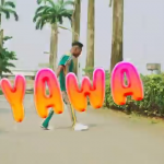 Reekado Banks – "Yawa" Ft. DJ Yung