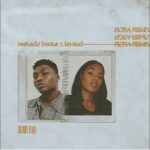 Reekado Banks ft. Lavaud – "Rora (Remix)" [Audio]