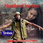 Timbex