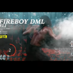 DOWNLOAD Fireboy DML – “ELI” Video