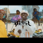 DOWNLOAD Blaq Diamond - 'SummerYoMuthi' Video