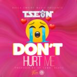 Download T-Sean - Don't Hurt Me