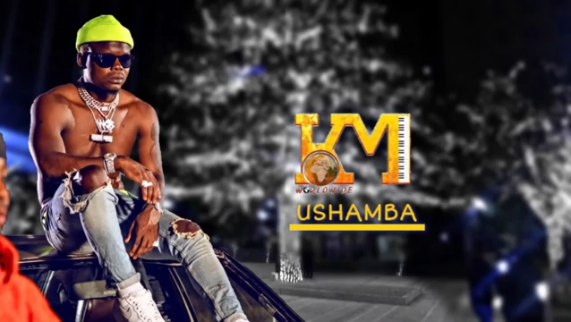Harmonize - Ushamba Download