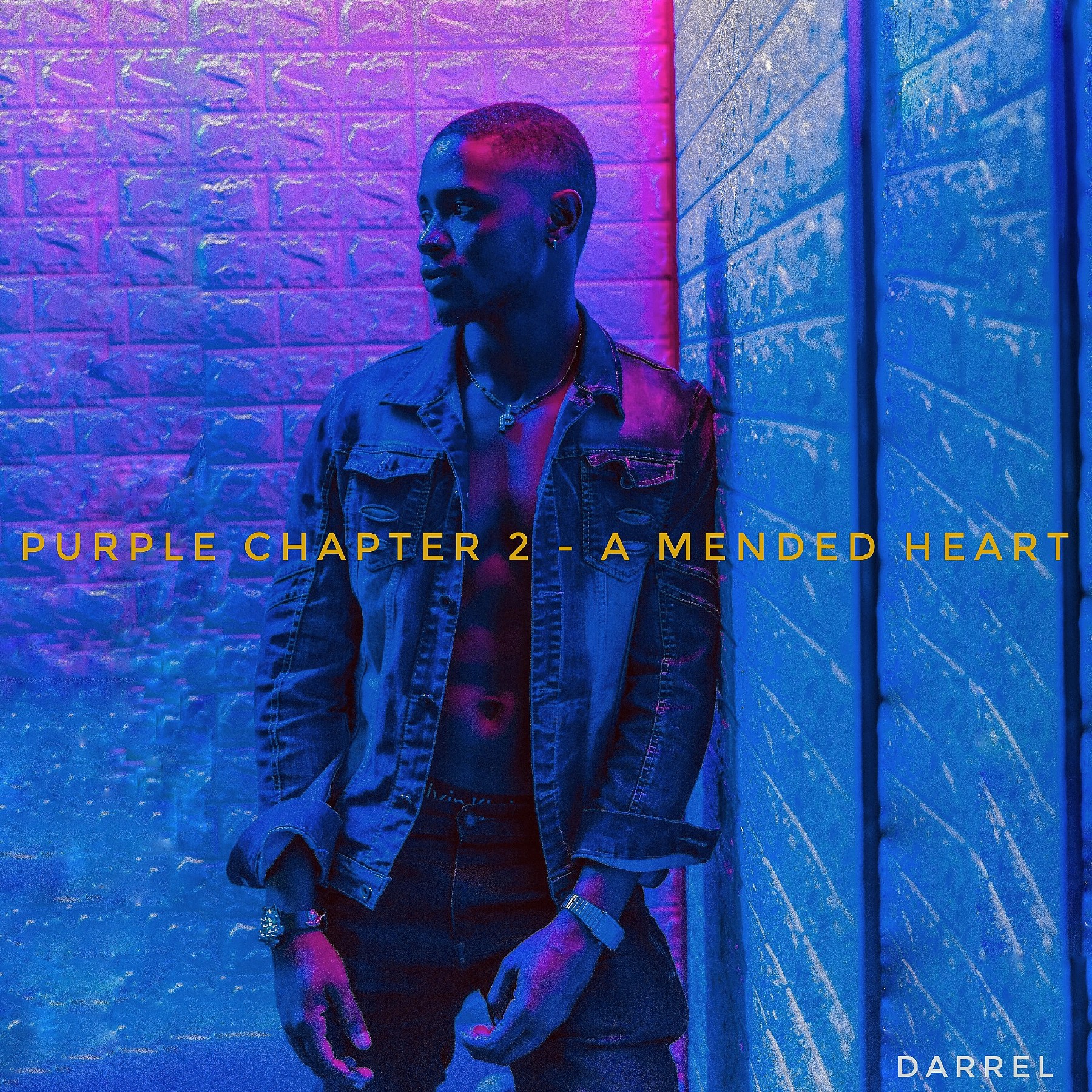 Darrel - "A Mended Heart ( Purple Chapter 2)" EP