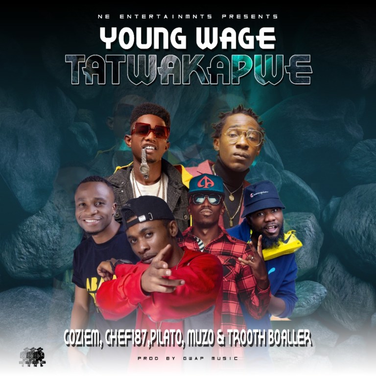 DOWNLOAD Young Wage x Chef 187 x Muzo Aka Alphonso x Pilato x Coziem x Trooth Baller – “Tatwakapwepo” Mp3