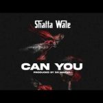 Shatta Wale - ‘Can You’ Mp3