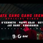 Reggie ft. O'Kenneth, Pappy Kojo, Skyface SDW, Jay Bahd & Kawabanga - "AKATA GANG GANG (Remix)"