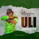Bizzyborn - "Ulisondokede" Mp3