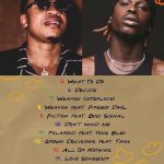 Rotimi ft. Fireboy DML - "Weapon"