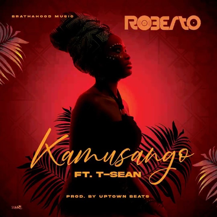 Roberto ft. T-Sean - Kamusango  