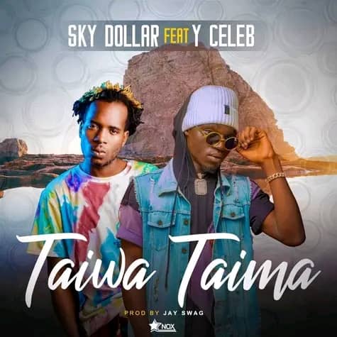 Sky Dollar Ft. Y Celeb - Taima Taiwa Mp3