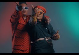 D Bwoy Telem ft. Towela Kaira - Mr Lover Man [Re-up] Video