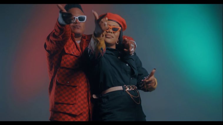 D Bwoy Telem ft. Towela Kaira - Mr Lover Man [Re-up] Video