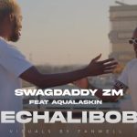 Swag Daddy Ft. Aqualaskin - Nechalibobu Visualizer