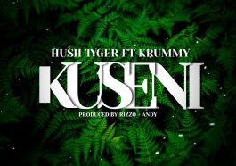 Hush Tiger Ft. Krummy - Kuseni Mp3