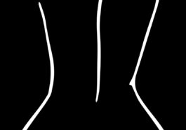 Bayanni – Low Waist Mp3