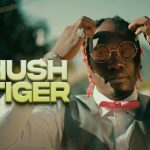 Hush Tiger Ft. Krummy - Kuseni Video
