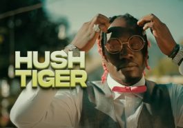 Hush Tiger Ft. Krummy - Kuseni Video