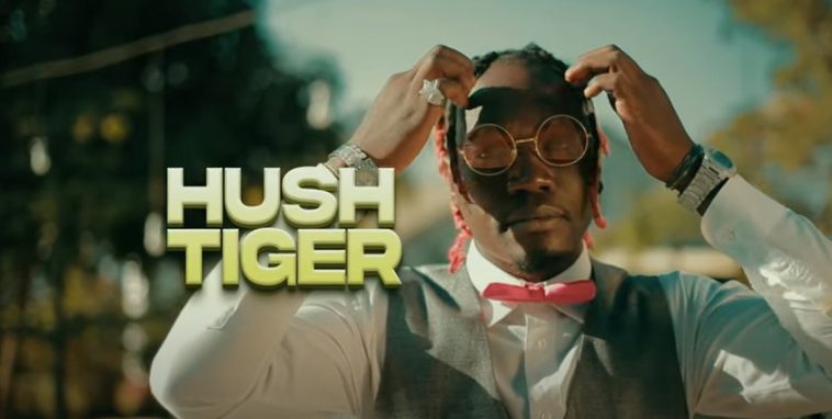 Hush Tiger Ft. Krummy - Kuseni Video