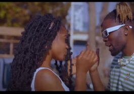 J Mafia - Fever Video