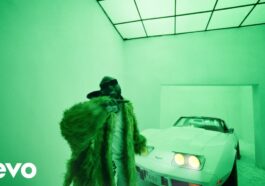 Davido - Feel Video