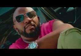 F Jay - Ndine Munzako (Real Friends) Video
