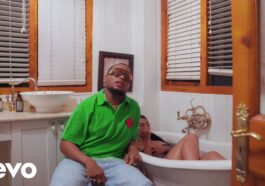 K.O Ft. Daliwonga - Thatha Video
