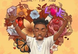 Mayorkun – Love.. For Free EP