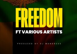 Power Nation Exclusively (PNE) FT. Various Artists - Freedom Mp3