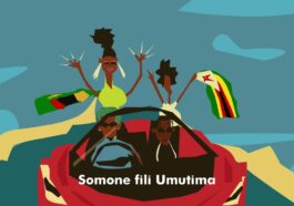 T-Low Ft. Nutty O - My Lady Visualizer