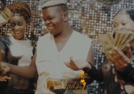 Makhadzi Entertainment Ft. Babethe Gaoshazen - Mapara Video