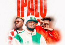 Ray Dee Ft. Y Celeb & Nacci LP - Ipalo Mp3