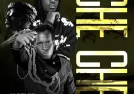 Y Celeb ft. Chef 187 & Frank Ro – Che Che Mp3