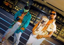 Selemanyo Ft. Blaq Skeleton - Pwatanganya Video
