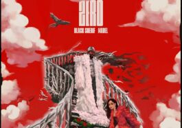 Black Sherif & Mabel - Zero Video