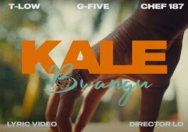 T-Low Ft. G-FIVE & Chef 187 - Kale Bwangu Visualizer