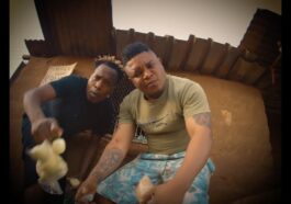 Y Celeb Ft. D Bwoy Telem x Frank Ro - Let Them Know Video