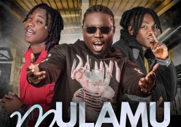 Celeb City Ft. JC kalinks - Mulamu Audio