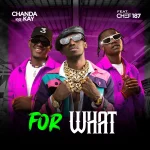 Chanda Na kay Ft. Chef 187 - For What Audio