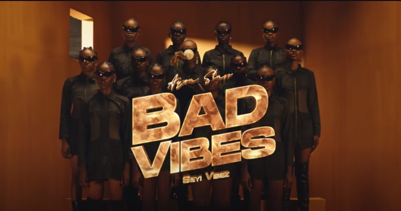 Ayra Starr Ft. Seyi Vibez - Bad Vibes Video