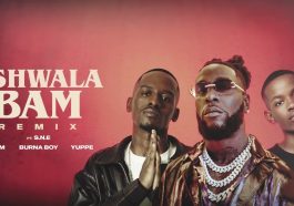 TitoM, Yuppe & Burna Boy Ft. S.N.E - Tshwala Bam (Remix) Audio