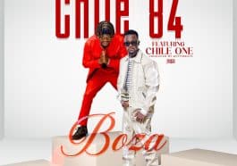 Chile 84 - Boza
