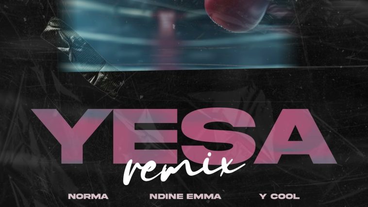 Norma Ft. Ndine Emma & Y-cool - Yesa Audio