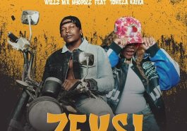 Willz Mr Nyopole - Zeksi