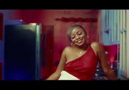 Tyce Ziggy - Problem Video