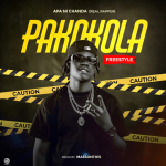 Apa Ni Chanda – Pakokola Audio