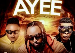 Shenky Ft. Jose Chameleon & DBwoy - Aye Audio