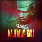 Drimz – Nalipalwa Kale Audio