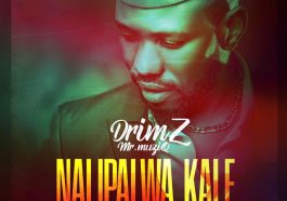 Drimz – Nalipalwa Kale Audio