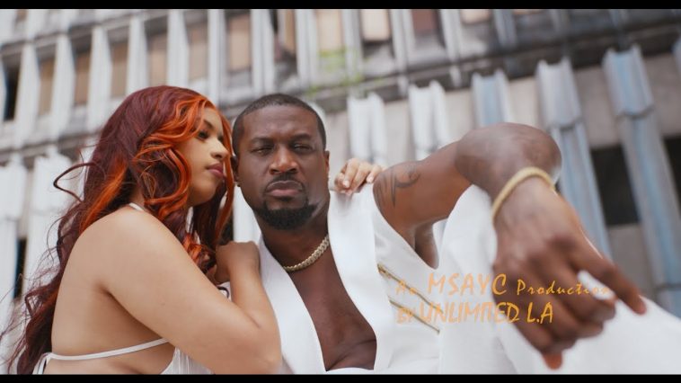 Mr. P X Stonebwoy - ODO Remix Video